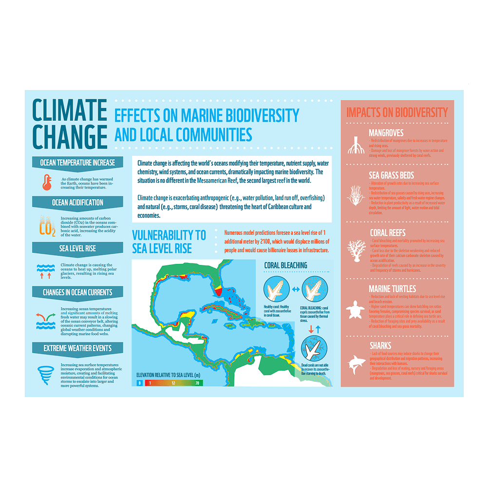 WWF infographics on climate change
